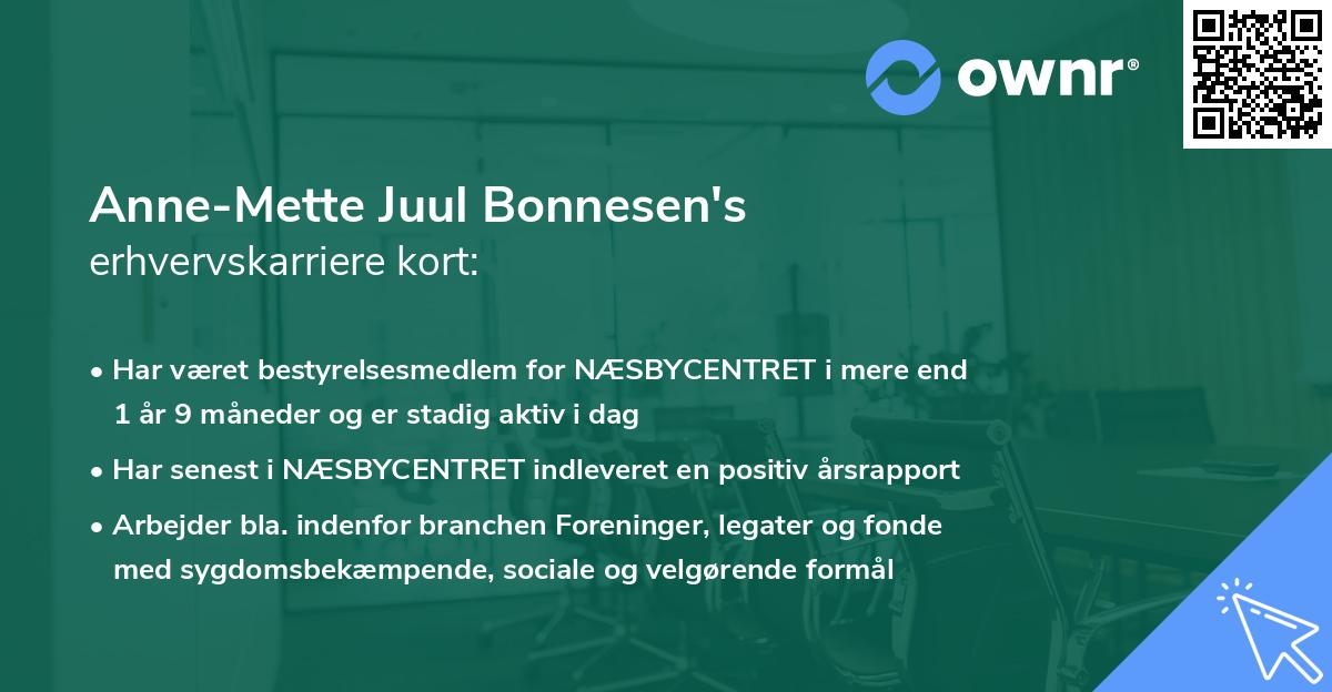 Anne-Mette Juul Bonnesen's erhvervskarriere kort
