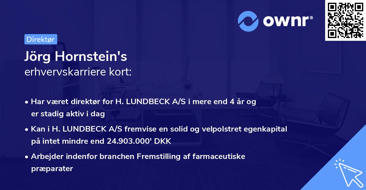 Jörg Hornstein's erhvervskarriere kort