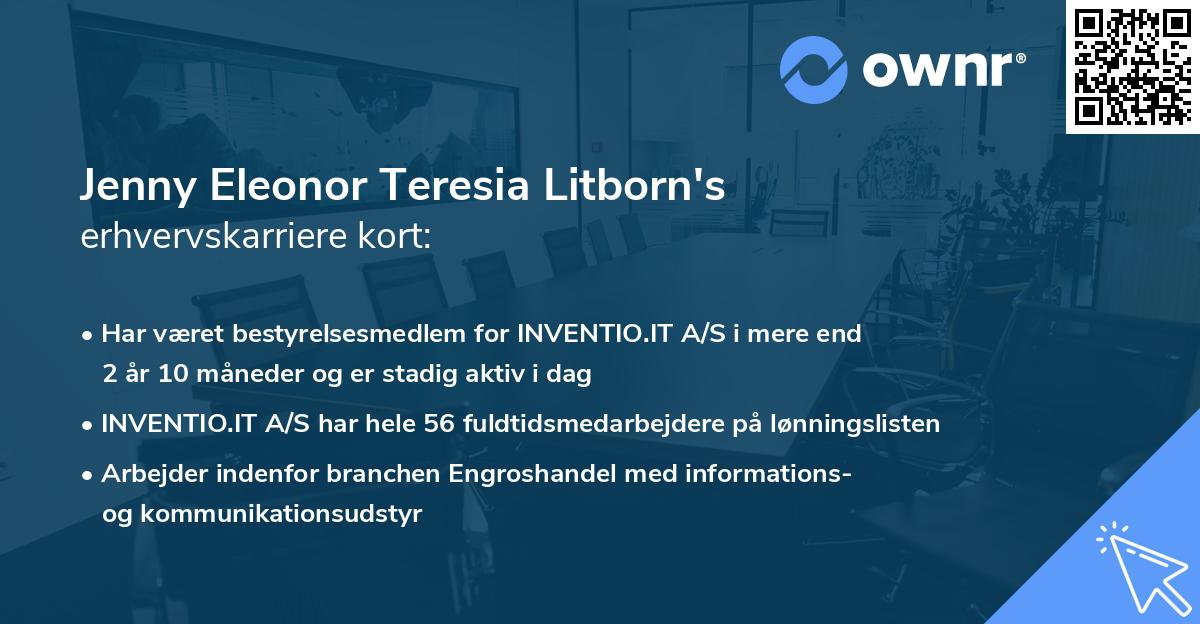 Jenny Eleonor Teresia Litborn's erhvervskarriere kort