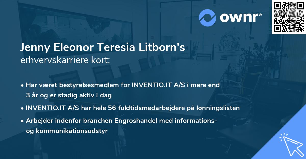 Jenny Eleonor Teresia Litborn's erhvervskarriere kort