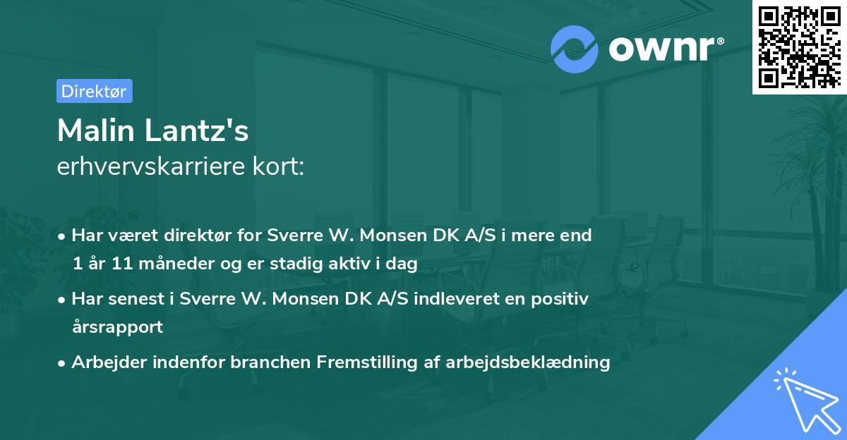 Malin Lantz's erhvervskarriere kort