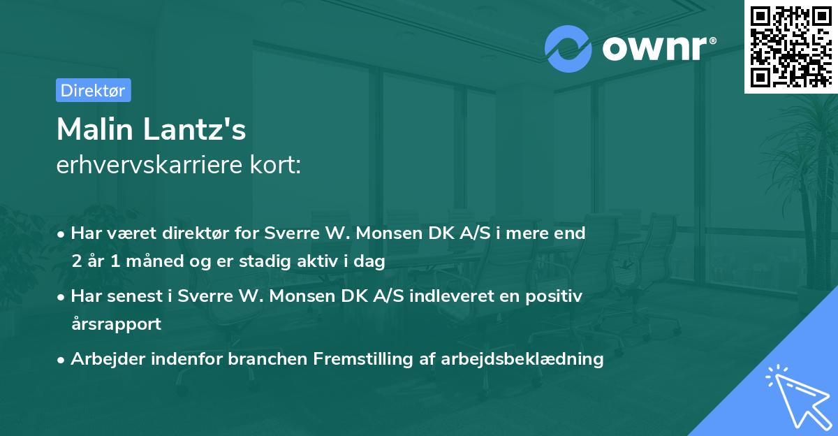 Malin Lantz's erhvervskarriere kort