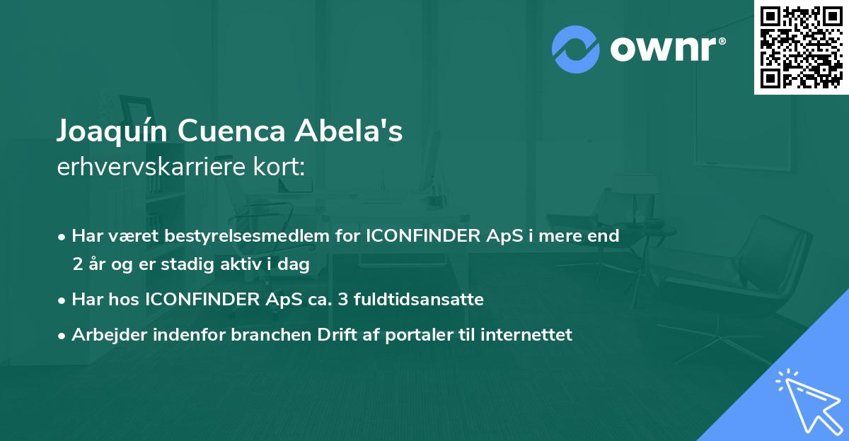 Joaquín Cuenca Abela's erhvervskarriere kort