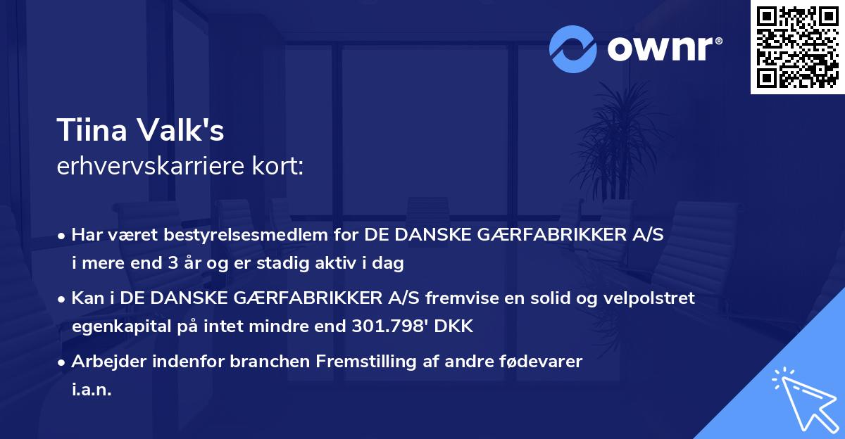Tiina Valk's erhvervskarriere kort