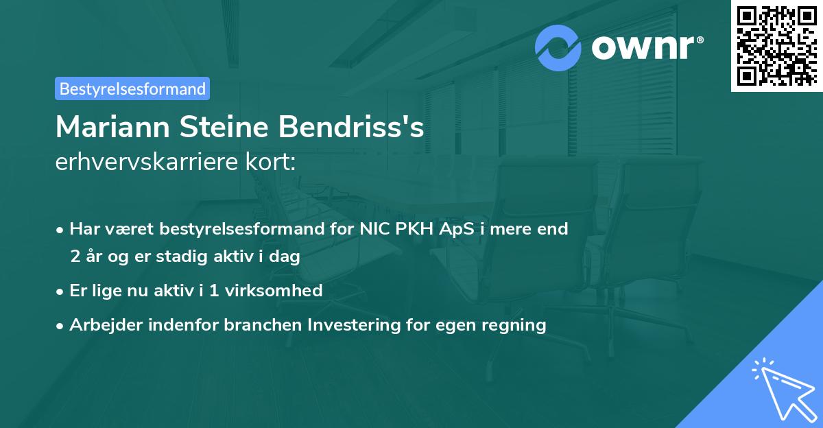 Mariann Steine Bendriss's erhvervskarriere kort