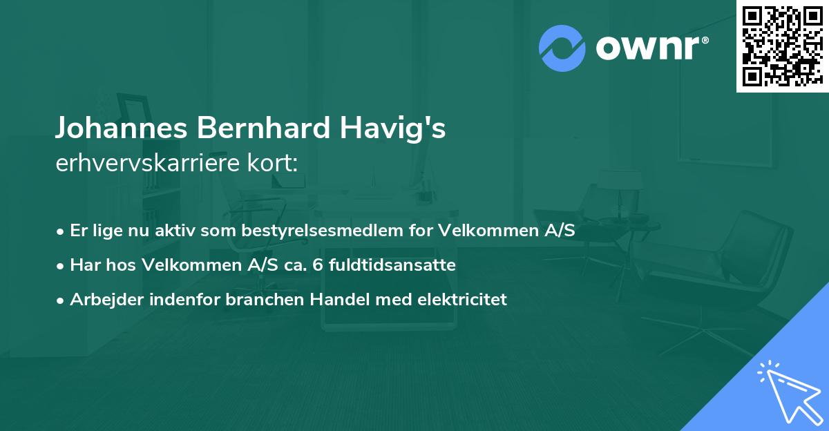 Johannes Bernhard Havig's erhvervskarriere kort