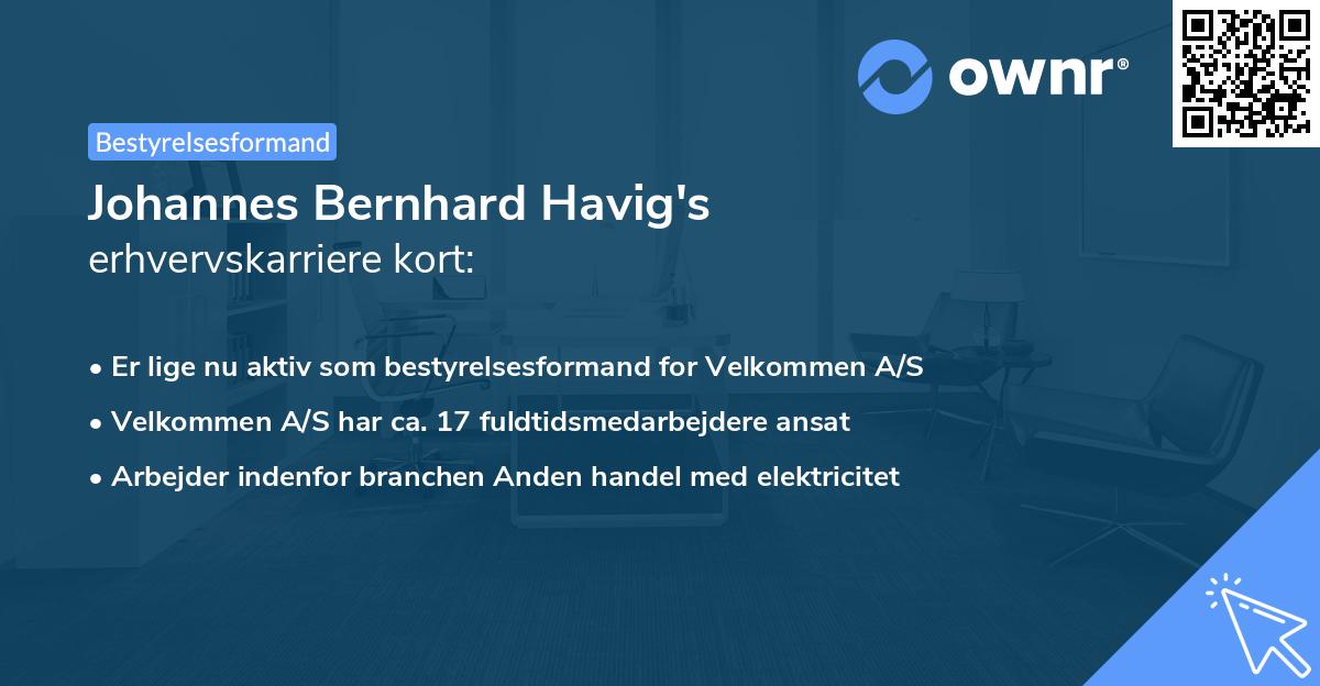 Johannes Bernhard Havig's erhvervskarriere kort