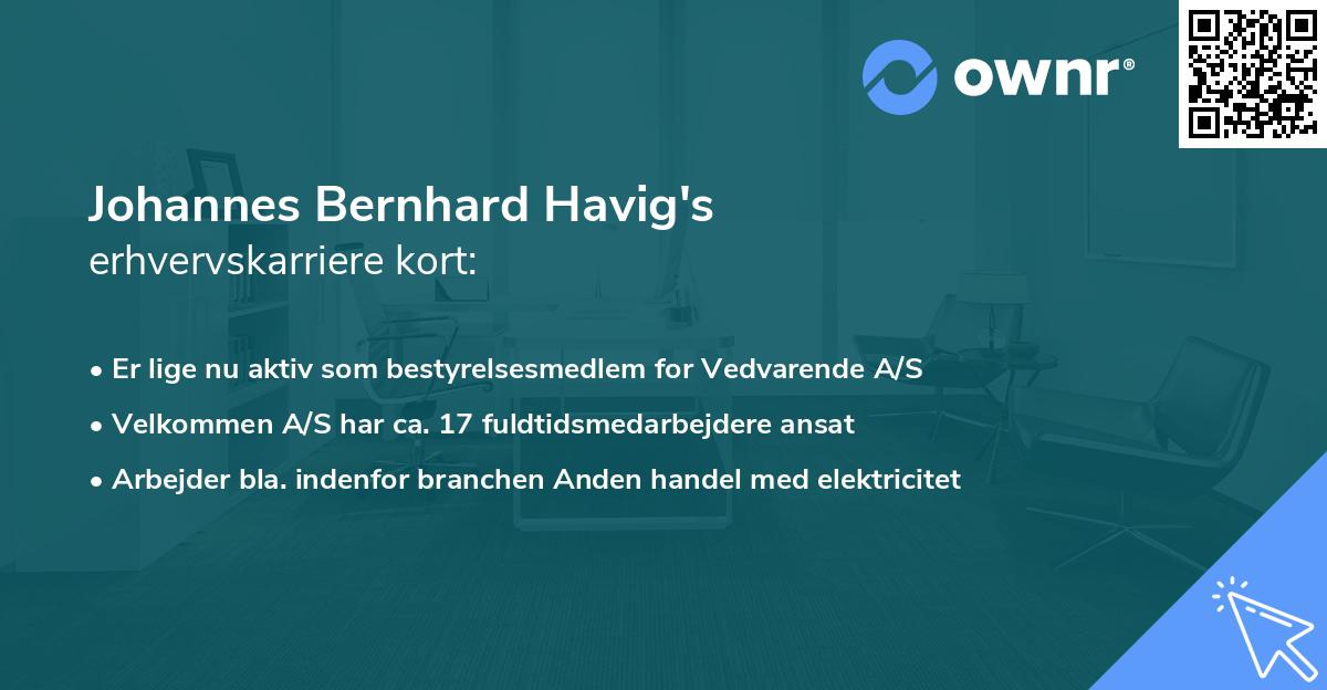 Johannes Bernhard Havig's erhvervskarriere kort