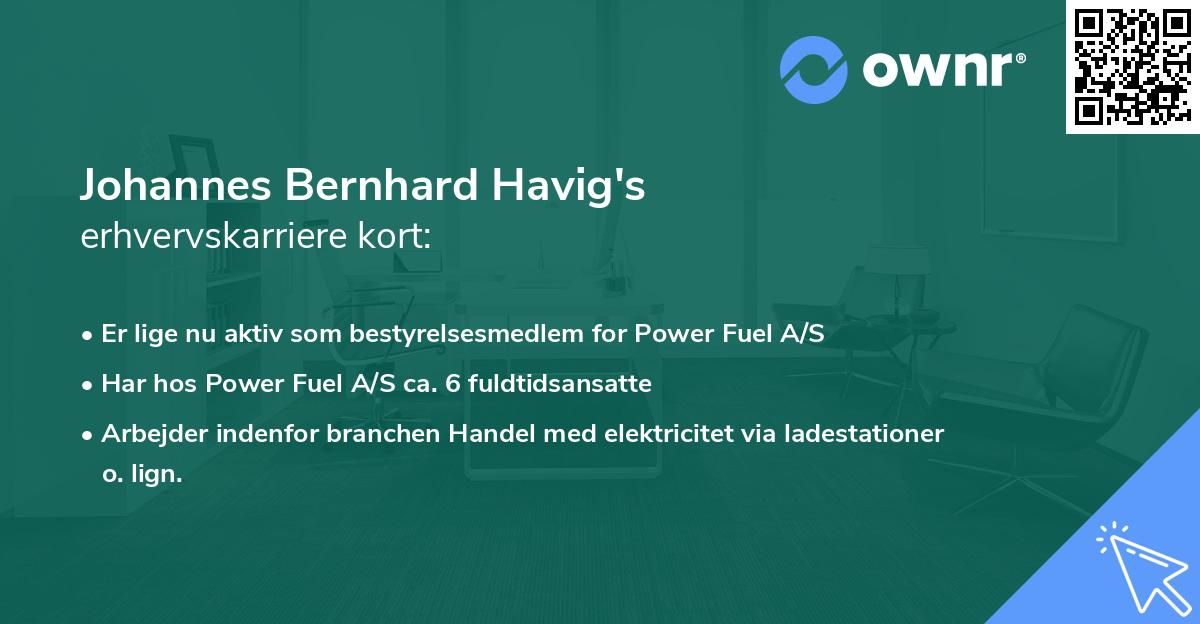 Johannes Bernhard Havig's erhvervskarriere kort