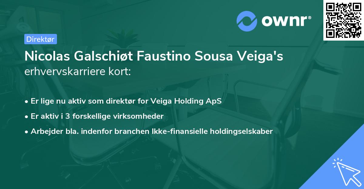 Nicolas Galschiøt Faustino Sousa Veiga's erhvervskarriere kort