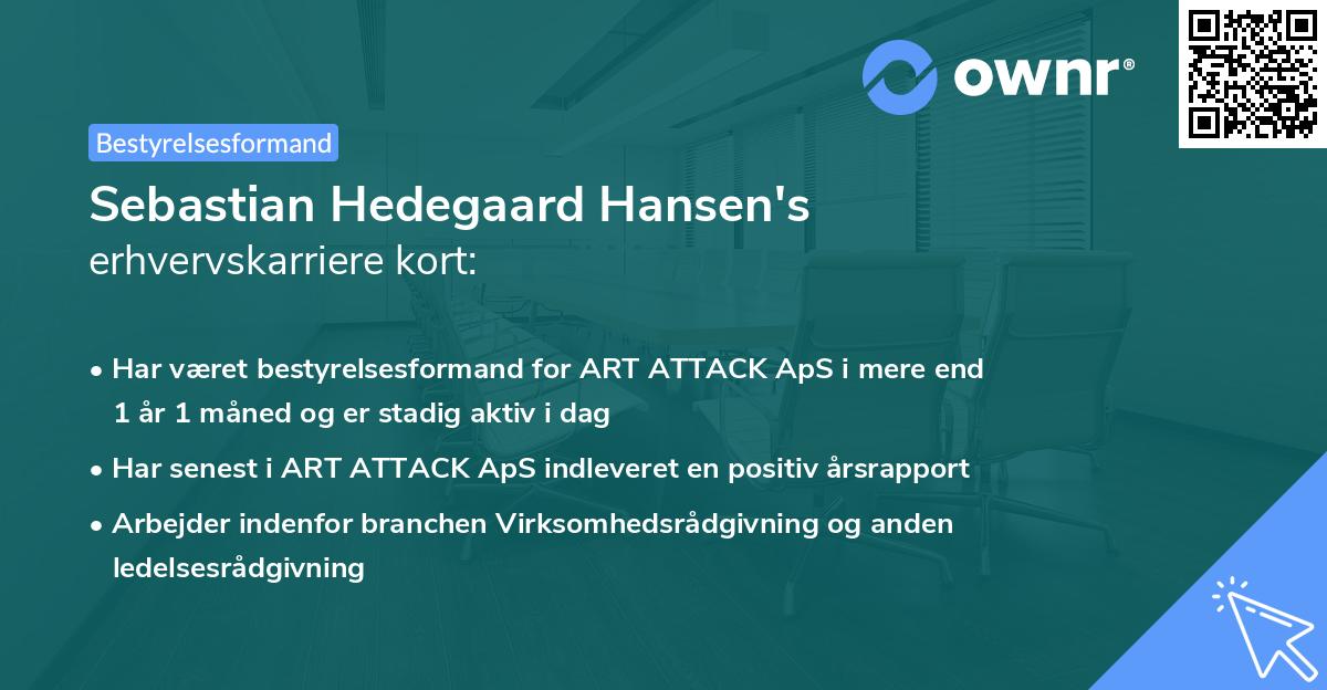 Sebastian Hedegaard Hansen's erhvervskarriere kort