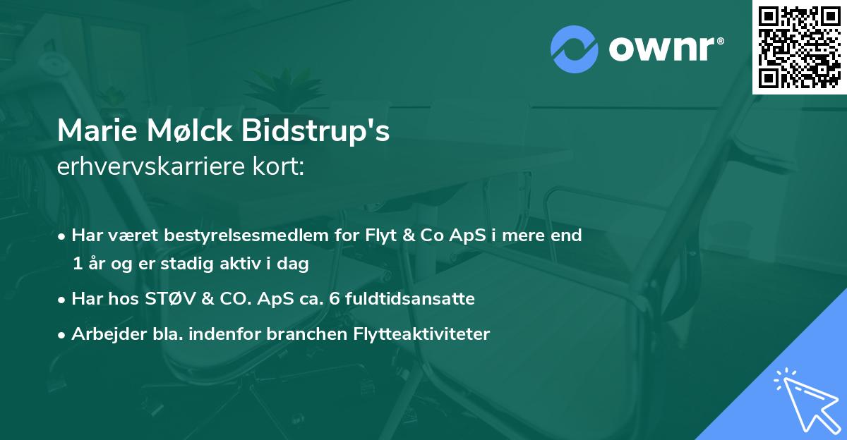 Marie Mølck Bidstrup's erhvervskarriere kort