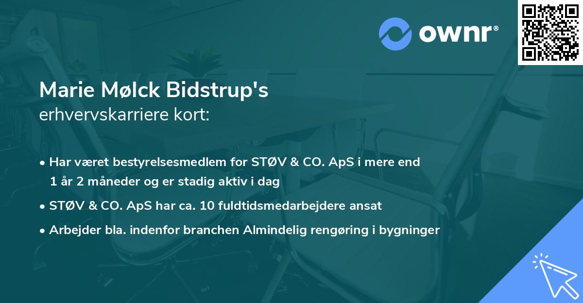 Marie Mølck Bidstrup's erhvervskarriere kort