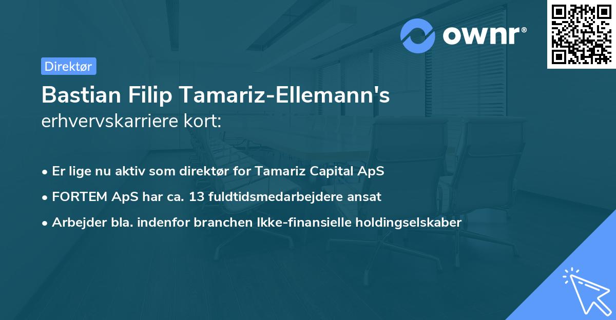 Bastian Filip Tamariz-Ellemann's erhvervskarriere kort
