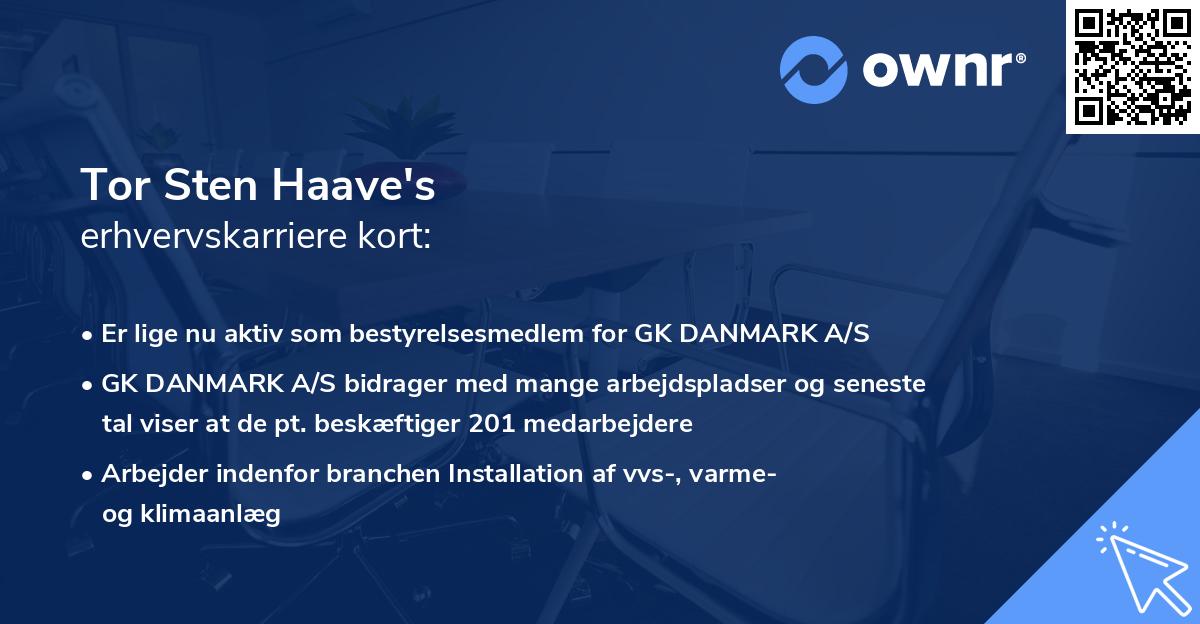 Tor Sten Haave's erhvervskarriere kort
