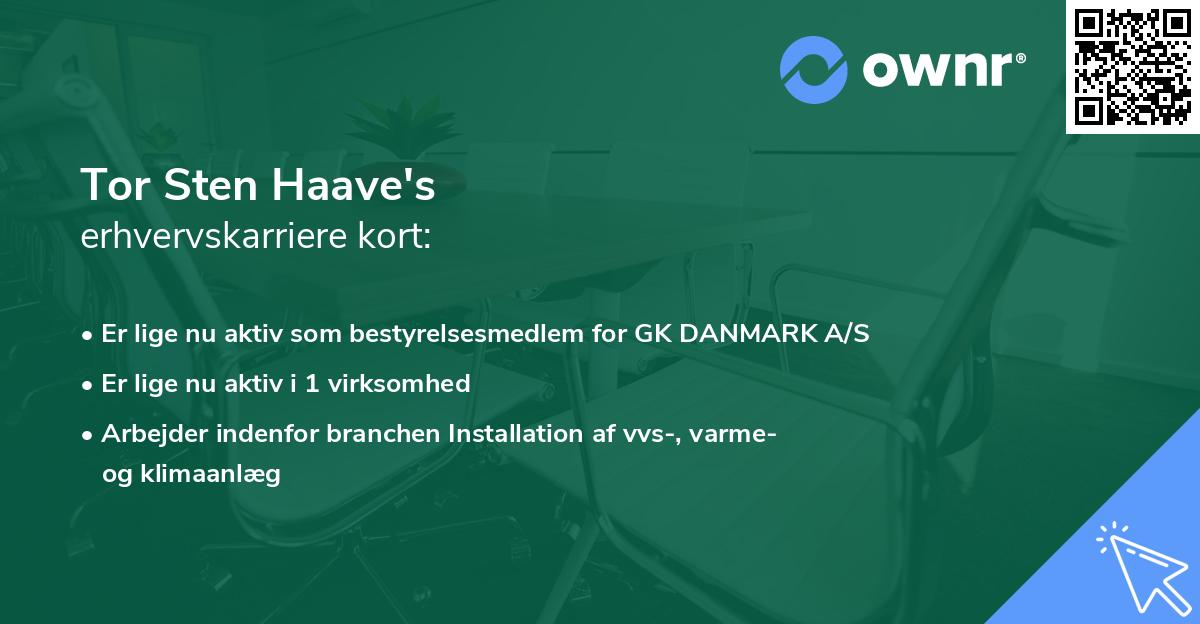 Tor Sten Haave's erhvervskarriere kort