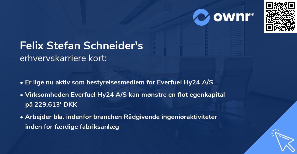 Felix Stefan Schneider's erhvervskarriere kort