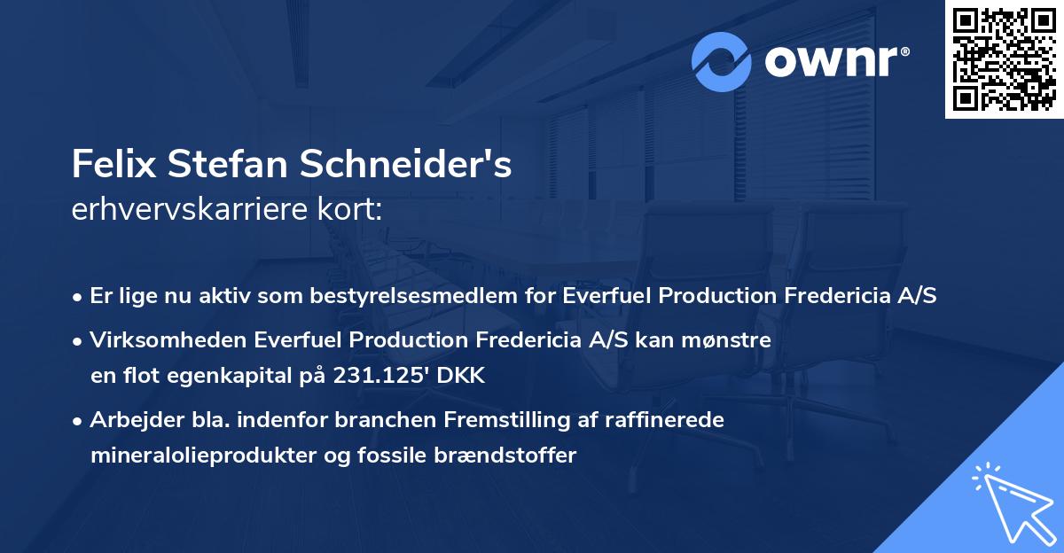 Felix Stefan Schneider's erhvervskarriere kort