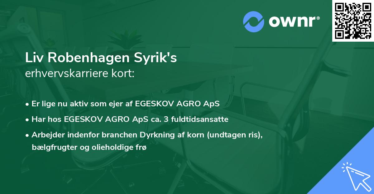 Liv Robenhagen Syrik's erhvervskarriere kort