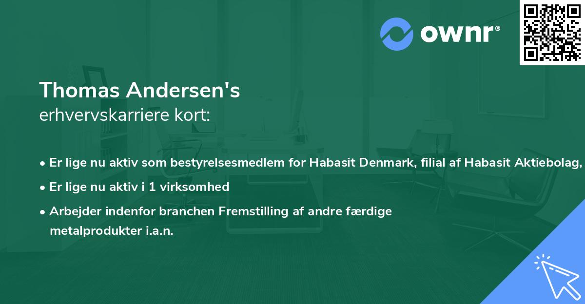 Thomas Andersen's erhvervskarriere kort