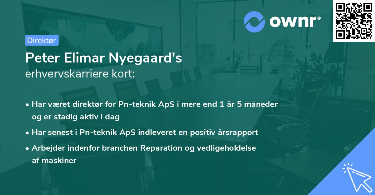 Peter Elimar Nyegaard's erhvervskarriere kort