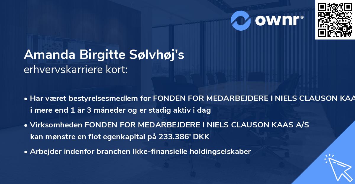 Amanda Birgitte Sølvhøj's erhvervskarriere kort