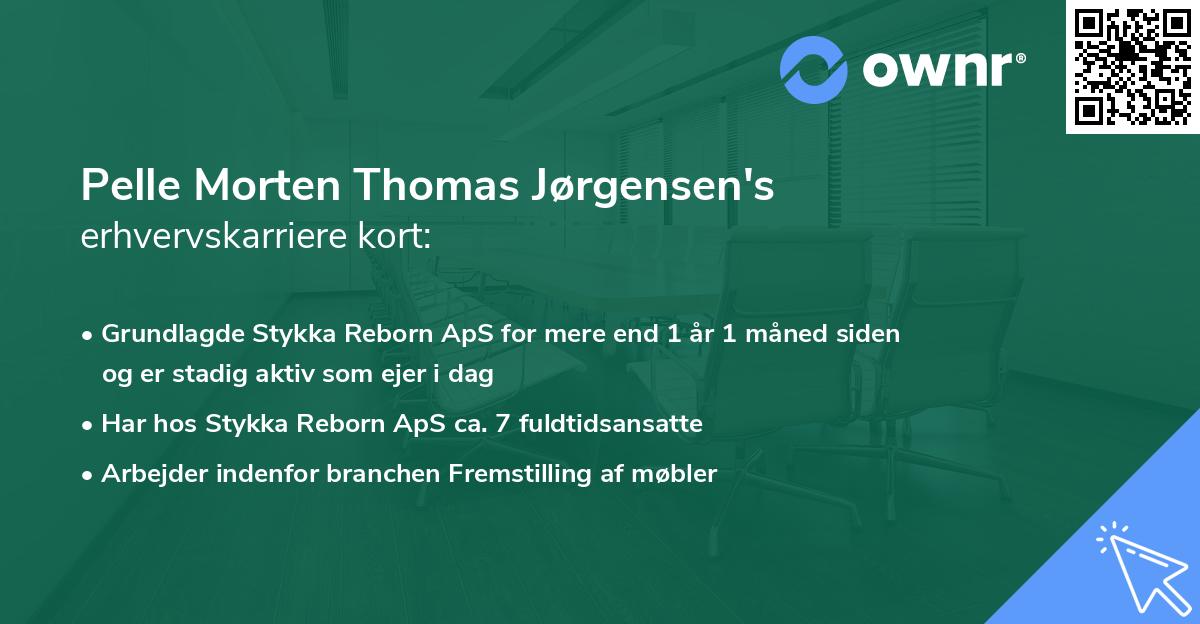 Pelle Morten Thomas Jørgensen's erhvervskarriere kort