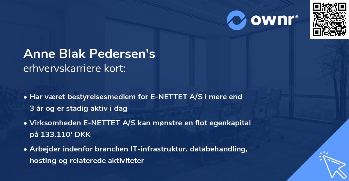 Anne Blak Pedersen's erhvervskarriere kort