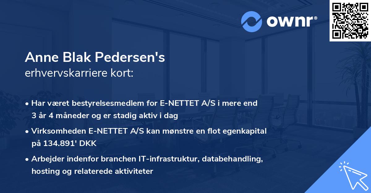 Anne Blak Pedersen's erhvervskarriere kort