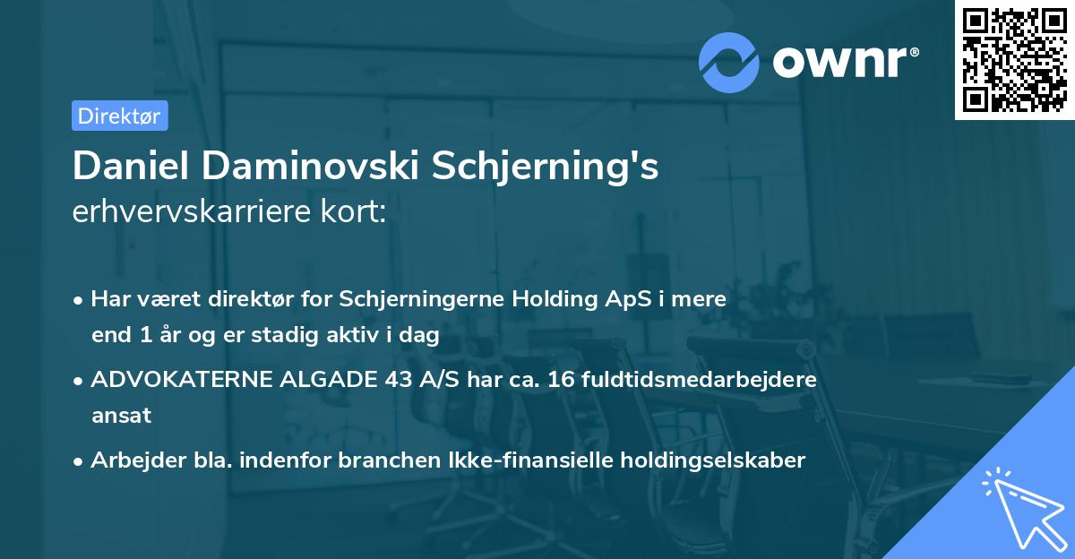 Daniel Daminovski Schjerning's erhvervskarriere kort