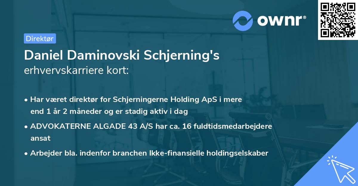 Daniel Daminovski Schjerning's erhvervskarriere kort