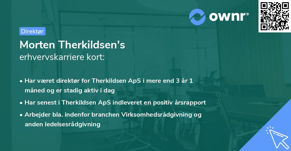 Morten Therkildsen's erhvervskarriere kort