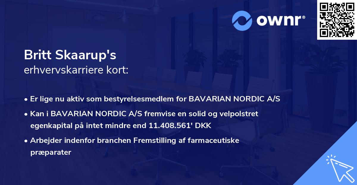 Britt Skaarup's erhvervskarriere kort