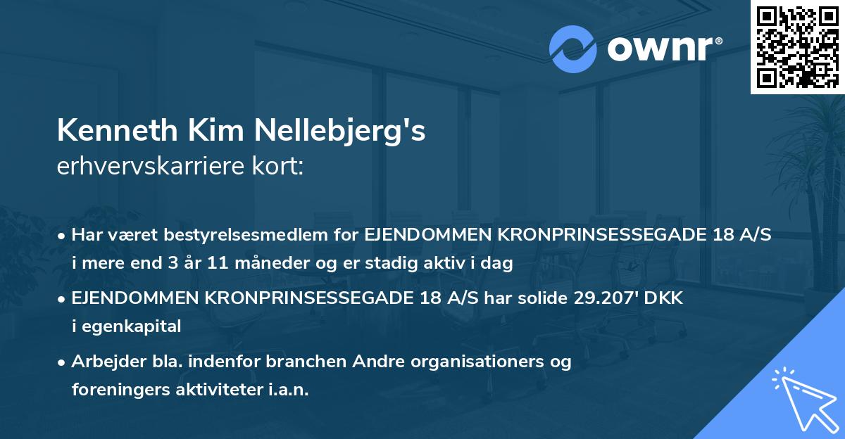 Kenneth Kim Nellebjerg's erhvervskarriere kort