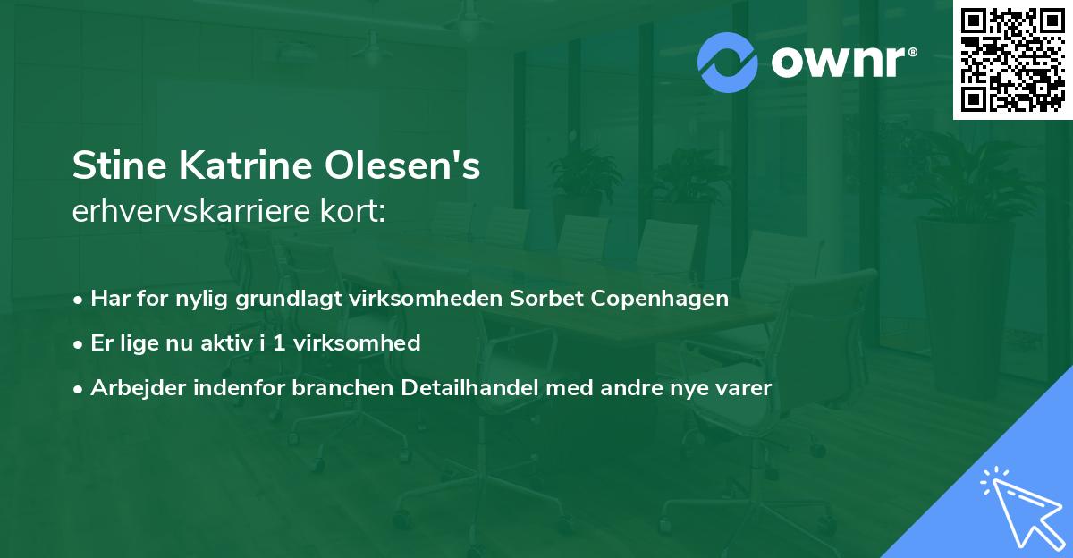 Stine Katrine Olesen's erhvervskarriere kort