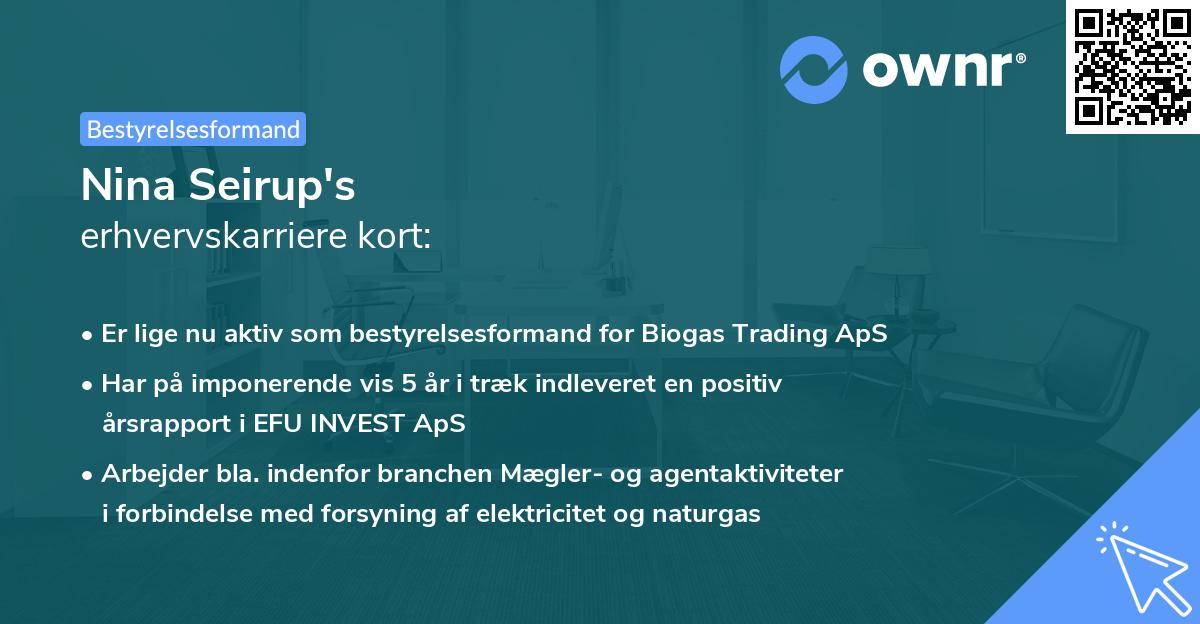 Nina Seirup's erhvervskarriere kort