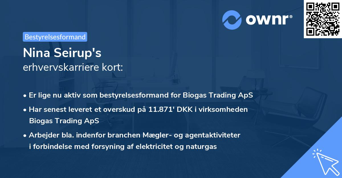 Nina Seirup's erhvervskarriere kort