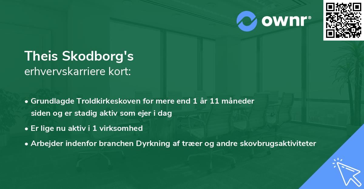 Theis Skodborg's erhvervskarriere kort