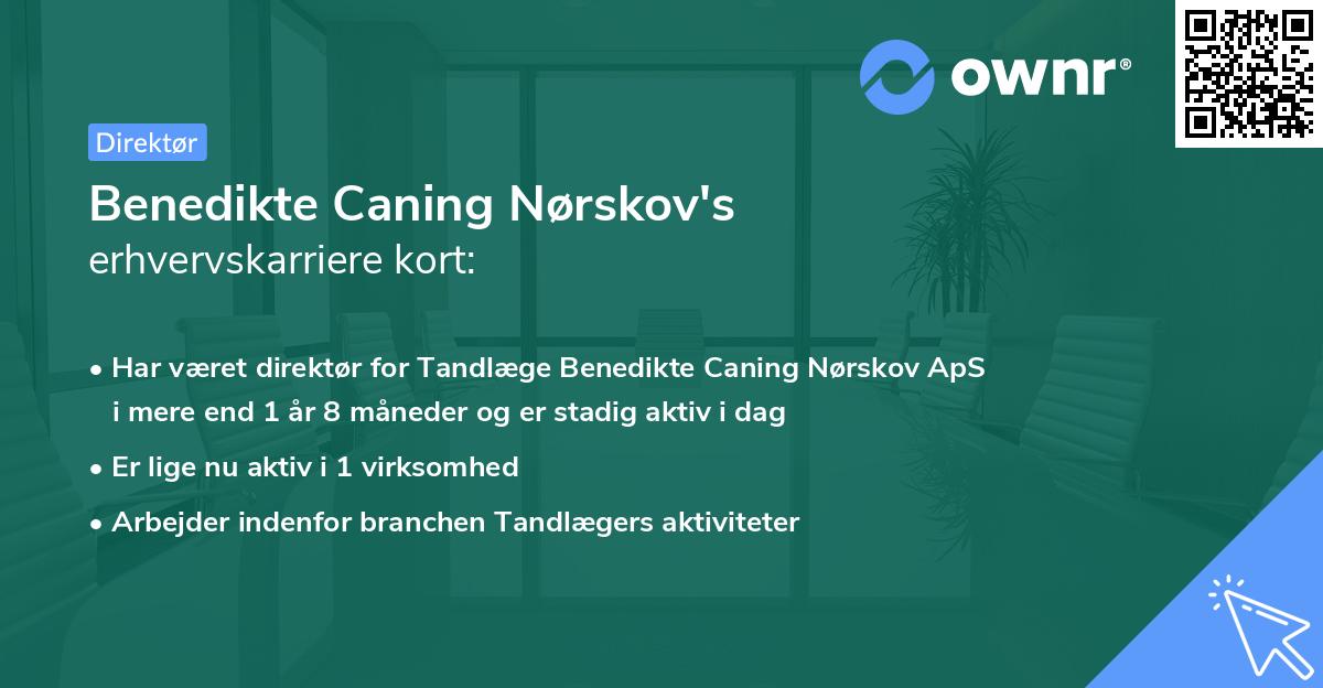 Benedikte Caning Nørskov's erhvervskarriere kort