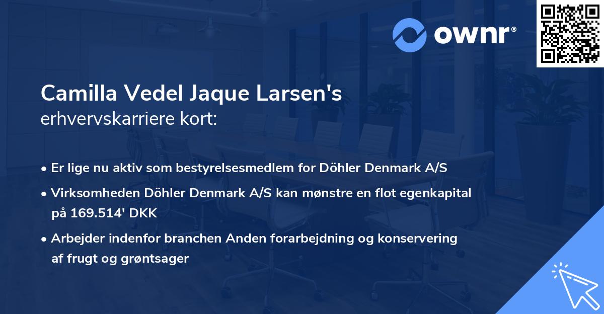 Camilla Vedel Jaque Larsen's erhvervskarriere kort