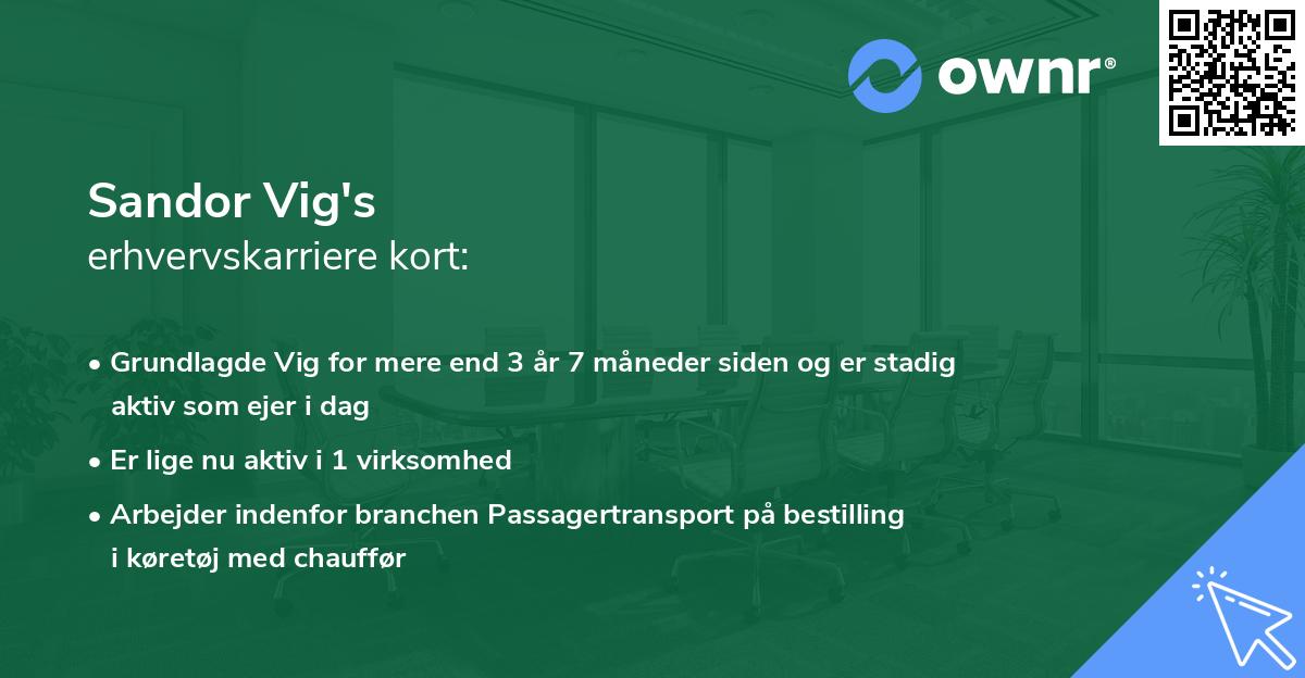 Sandor Vig's erhvervskarriere kort