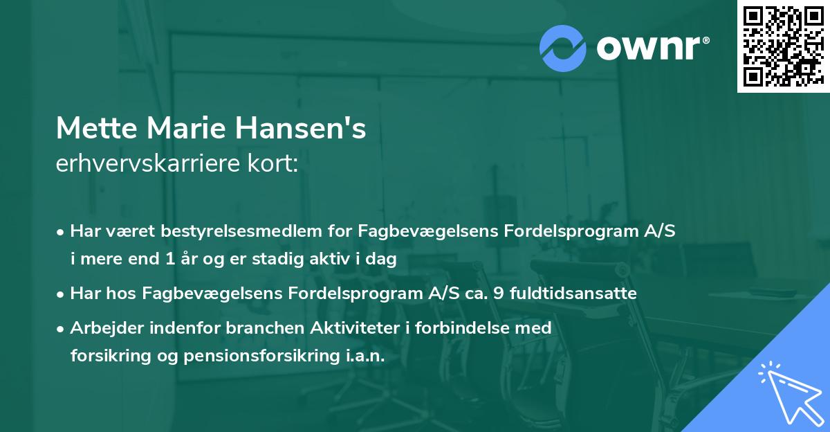 Mette Marie Hansen's erhvervskarriere kort
