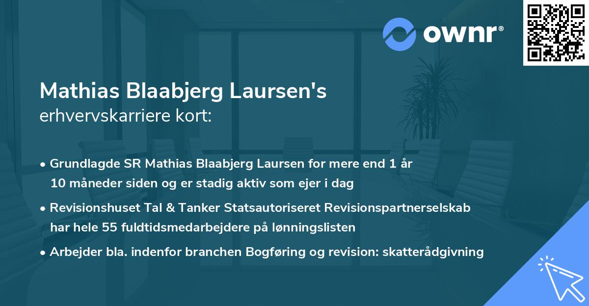 Mathias Blaabjerg Laursen's erhvervskarriere kort