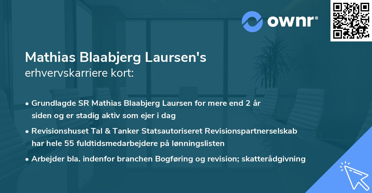 Mathias Blaabjerg Laursen's erhvervskarriere kort