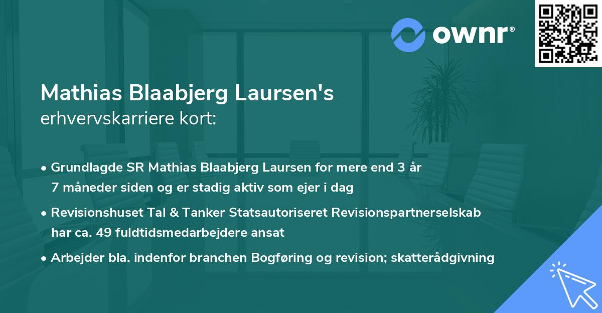 Mathias Blaabjerg Laursen's erhvervskarriere kort