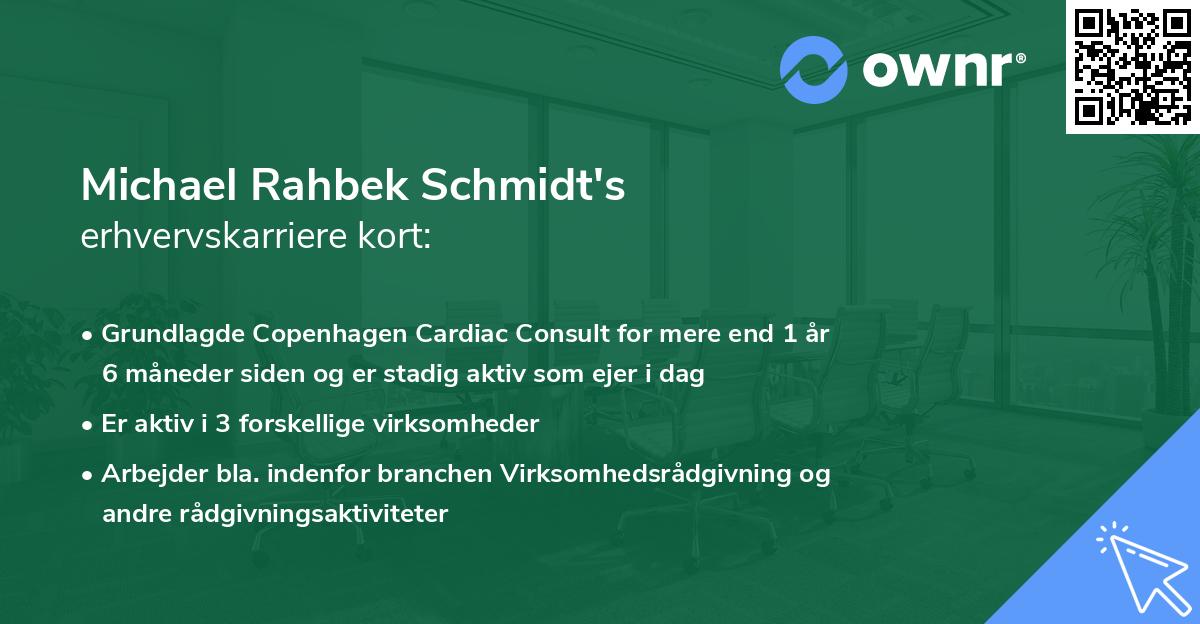 Michael Rahbek Schmidt's erhvervskarriere kort