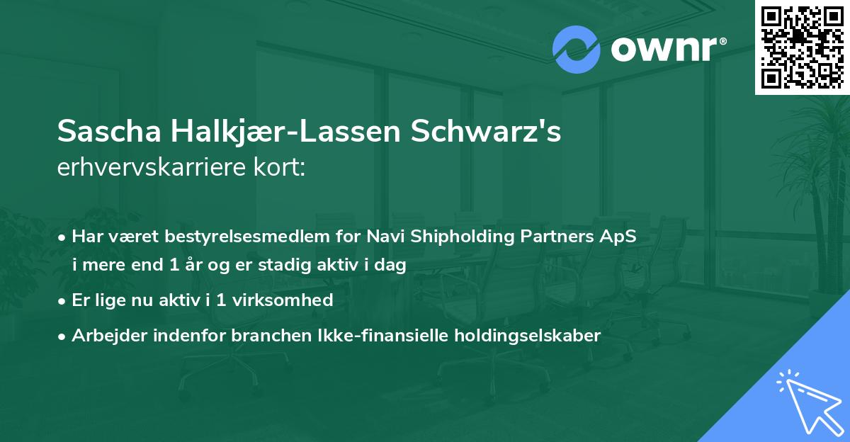 Sascha Halkjær-Lassen Schwarz's erhvervskarriere kort