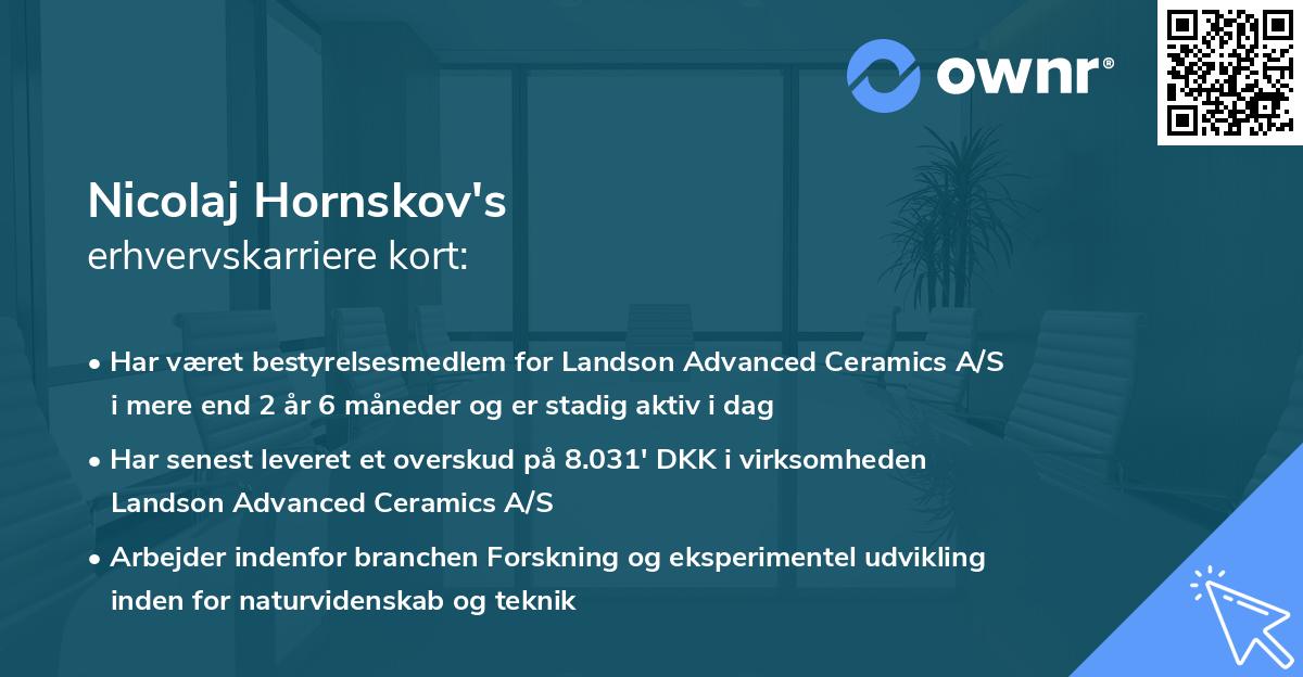 Nicolaj Hornskov's erhvervskarriere kort