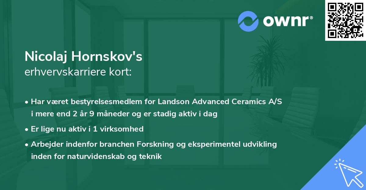Nicolaj Hornskov's erhvervskarriere kort