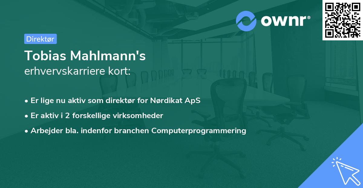 Tobias Mahlmann's erhvervskarriere kort